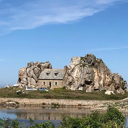 Le Rouzic - *